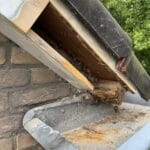 Houtrotsanering verfen